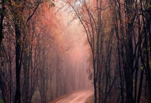 【足球】周四001亚洲杯U20推荐:日本U20VS韩国U20.