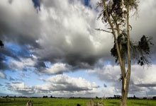 QY球友会官网:CBA:客场失利 青岛队89-103浙江广厦队.