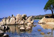 攻破迈阿密球门后siu庆祝!纽约城官推:像,像,但也不一样🐐.